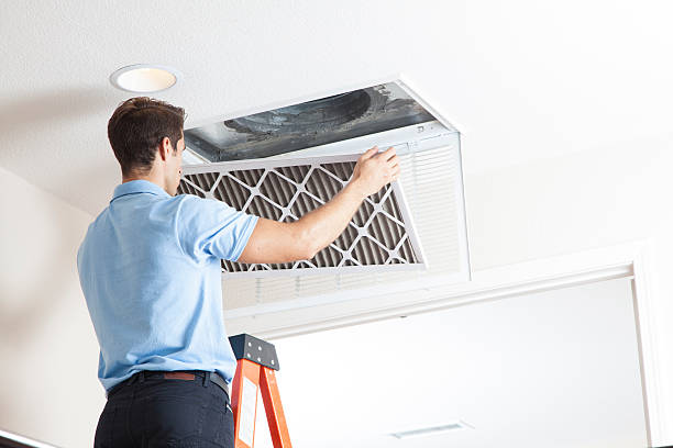 Best HVAC Installation Services  in Alexandria, LA